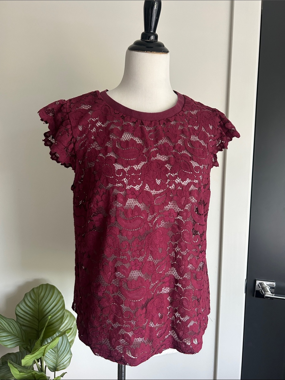 🌹 A new day L sheer Lace Short-delicate Sleeve Top — Burgundy wine 🍷